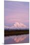 Mount Mckinley at Sunset in Denali National Park-Paul Souders-Mounted Premium Photographic Print