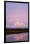 Mount Mckinley at Sunset in Denali National Park-Paul Souders-Framed Premium Photographic Print