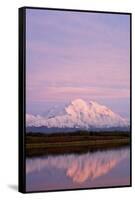 Mount Mckinley at Sunset in Denali National Park-Paul Souders-Framed Stretched Canvas