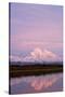 Mount Mckinley at Sunset in Denali National Park-Paul Souders-Stretched Canvas