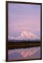 Mount Mckinley at Sunset in Denali National Park-Paul Souders-Framed Photographic Print