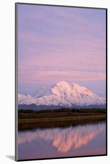 Mount Mckinley at Sunset in Denali National Park-Paul Souders-Mounted Photographic Print