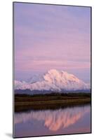 Mount Mckinley at Sunset in Denali National Park-Paul Souders-Mounted Photographic Print