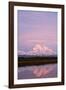 Mount Mckinley at Sunset in Denali National Park-Paul Souders-Framed Photographic Print