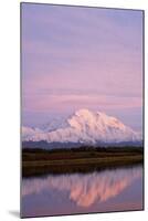 Mount Mckinley at Sunset in Denali National Park-Paul Souders-Mounted Photographic Print