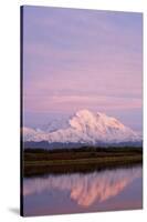 Mount Mckinley at Sunset in Denali National Park-Paul Souders-Stretched Canvas