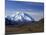 Mount Mckinley, Denali National Park, Alaska, USA-John Warburton-lee-Mounted Photographic Print