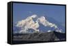 Mount McKinley, Denali National Park, Alaska, USA-Gerry Reynolds-Framed Stretched Canvas