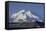 Mount McKinley, Denali National Park, Alaska, USA-Gerry Reynolds-Framed Stretched Canvas