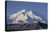 Mount McKinley, Denali National Park, Alaska, USA-Gerry Reynolds-Stretched Canvas