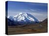 Mount Mckinley, Denali National Park, Alaska, USA-John Warburton-lee-Stretched Canvas