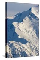 Mount Mckinley in Denali National Park-Paul Souders-Stretched Canvas