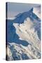 Mount Mckinley in Denali National Park-Paul Souders-Stretched Canvas