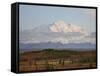 Mount Mckinley (Mount Denali) at Sunset in Fall, Denali National Park and Preserve, Alaska-James Hager-Framed Stretched Canvas