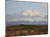 Mount Mckinley (Mount Denali) at Sunset in Fall, Denali National Park and Preserve, Alaska-James Hager-Mounted Photographic Print