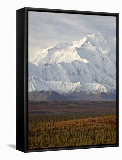 Mount Mckinley (Mount Denali), Denali National Park and Preserve, Alaska, United States of America-James Hager-Framed Stretched Canvas