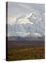 Mount Mckinley (Mount Denali), Denali National Park and Preserve, Alaska, United States of America-James Hager-Stretched Canvas