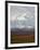 Mount Mckinley (Mount Denali), Denali National Park and Preserve, Alaska, United States of America-James Hager-Framed Photographic Print