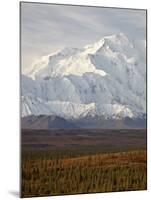 Mount Mckinley (Mount Denali), Denali National Park and Preserve, Alaska, United States of America-James Hager-Mounted Photographic Print