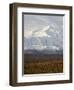 Mount Mckinley (Mount Denali), Denali National Park and Preserve, Alaska, United States of America-James Hager-Framed Photographic Print