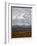 Mount Mckinley (Mount Denali), Denali National Park and Preserve, Alaska, United States of America-James Hager-Framed Photographic Print