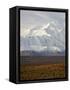 Mount Mckinley (Mount Denali), Denali National Park and Preserve, Alaska, United States of America-James Hager-Framed Stretched Canvas