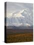 Mount Mckinley (Mount Denali), Denali National Park and Preserve, Alaska, United States of America-James Hager-Stretched Canvas