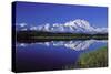 Mount Mckinley Reflected in Pond Denali National-null-Stretched Canvas