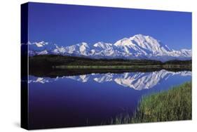 Mount Mckinley Reflected in Pond Denali National-null-Stretched Canvas