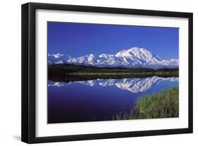 Mount Mckinley Reflected in Pond Denali National-null-Framed Premium Photographic Print