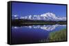 Mount Mckinley Reflected in Pond Denali National-null-Framed Stretched Canvas