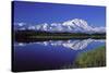 Mount Mckinley Reflected in Pond Denali National-null-Stretched Canvas