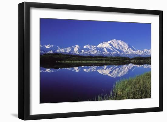 Mount Mckinley Reflected in Pond Denali National-null-Framed Photographic Print