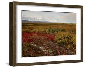 Mount Mckinley With Tundra in Fall Color, Denali National Park and Preserve, Alaska, USA-James Hager-Framed Photographic Print