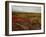 Mount Mckinley With Tundra in Fall Color, Denali National Park and Preserve, Alaska, USA-James Hager-Framed Photographic Print