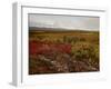 Mount Mckinley With Tundra in Fall Color, Denali National Park and Preserve, Alaska, USA-James Hager-Framed Photographic Print