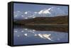 Mount McKinley, Wonder Lake, Sunrise, Denali National Park, Alaska, USA-Gerry Reynolds-Framed Stretched Canvas