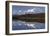 Mount McKinley, Wonder Lake, Sunrise, Denali National Park, Alaska, USA-Gerry Reynolds-Framed Photographic Print