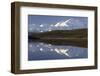 Mount McKinley, Wonder Lake, Sunrise, Denali National Park, Alaska, USA-Gerry Reynolds-Framed Photographic Print