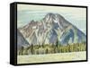 Mount Moran, 1946-Edward Hopper-Framed Stretched Canvas