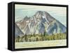 Mount Moran, 1946-Edward Hopper-Framed Stretched Canvas