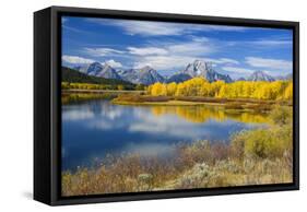 Mount Moran and the Teton Range from Oxbow Bend, Snake River, Grand Tetons National Park, Wyoming-Gary Cook-Framed Stretched Canvas