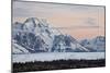 Mount Moran at Dawn in the Winter-James Hager-Mounted Photographic Print