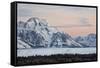 Mount Moran at Dawn in the Winter-James Hager-Framed Stretched Canvas