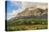 Mount Mulanje at Sunset, Malawi, Africa-Michael Runkel-Stretched Canvas