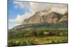 Mount Mulanje at Sunset, Malawi, Africa-Michael Runkel-Mounted Photographic Print