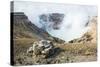 Mount Naka Active Crater Lake, Mount Aso, Kyushu, Japan, Asia-Michael Runkel-Stretched Canvas