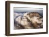 Mount Ngaurohoe-Paul Souders-Framed Photographic Print