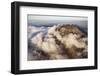 Mount Ngaurohoe-Paul Souders-Framed Photographic Print