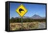 Mount Ngauruhoe with Kiwi Crossing Sign-Stuart-Framed Stretched Canvas